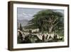 Travelers Stopping to Rest Among a Grove of Cedars in Lebanon-null-Framed Giclee Print