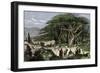 Travelers Stopping to Rest Among a Grove of Cedars in Lebanon-null-Framed Giclee Print