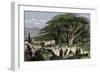Travelers Stopping to Rest Among a Grove of Cedars in Lebanon-null-Framed Giclee Print