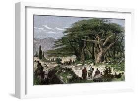 Travelers Stopping to Rest Among a Grove of Cedars in Lebanon-null-Framed Giclee Print