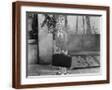 Brown Frame
