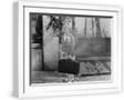 White Frame
