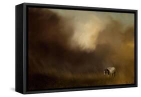 Traveling Through the Storm-Jai Johnson-Framed Stretched Canvas