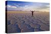 Traveller on Salar De Uyuni-null-Stretched Canvas