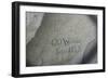 Traveller on the Oregon Roads Having Grave His Name in a Register Stone on the North Platte River N-null-Framed Giclee Print