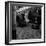 Travellers Boarding a Train to Rotterdam, Centraal Station, Amsterdam, Netherlands, 1963-Michael Walters-Framed Photographic Print