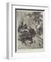 Travelling in Siberia, Mail-Sledge on the Road from Yeniseisk to Krasnoiarsk-null-Framed Giclee Print