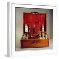 Travelling Pharmacy (Beech, Glass and Metal)-French-Framed Giclee Print