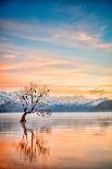 Beautiful Sunrise with Colours of Red, Orange and Purple, Canterbury New Zealand-Travellinglight-Photographic Print