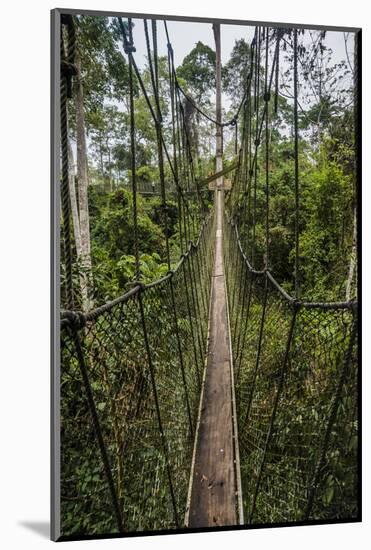 Traversing the 7 bridges high in the canopy of Kakum National Forest-Sheila Haddad-Mounted Photographic Print