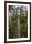 Traversing the 7 bridges high in the canopy of Kakum National Forest-Sheila Haddad-Framed Photographic Print