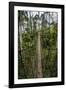 Traversing the 7 bridges high in the canopy of Kakum National Forest-Sheila Haddad-Framed Photographic Print