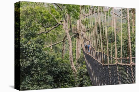 Traversing the 7 bridges high in the canopy of Kakum National Forest-Sheila Haddad-Stretched Canvas