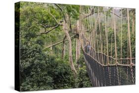 Traversing the 7 bridges high in the canopy of Kakum National Forest-Sheila Haddad-Stretched Canvas