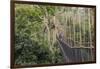 Traversing the 7 bridges high in the canopy of Kakum National Forest-Sheila Haddad-Framed Photographic Print