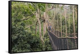 Traversing the 7 bridges high in the canopy of Kakum National Forest-Sheila Haddad-Framed Stretched Canvas