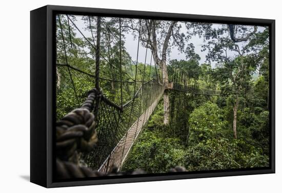 Traversing the 7 bridges high in the canopy of Kakum National Forest-Sheila Haddad-Framed Stretched Canvas
