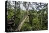 Traversing the 7 bridges high in the canopy of Kakum National Forest-Sheila Haddad-Stretched Canvas