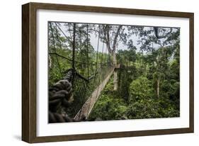 Traversing the 7 bridges high in the canopy of Kakum National Forest-Sheila Haddad-Framed Photographic Print