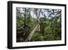 Traversing the 7 bridges high in the canopy of Kakum National Forest-Sheila Haddad-Framed Photographic Print