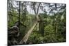 Traversing the 7 bridges high in the canopy of Kakum National Forest-Sheila Haddad-Mounted Photographic Print