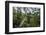 Traversing the 7 bridges high in the canopy of Kakum National Forest-Sheila Haddad-Framed Photographic Print