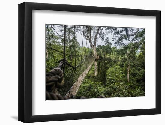 Traversing the 7 bridges high in the canopy of Kakum National Forest-Sheila Haddad-Framed Photographic Print