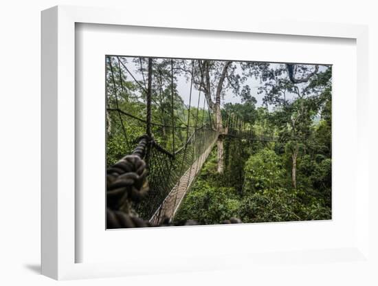 Traversing the 7 bridges high in the canopy of Kakum National Forest-Sheila Haddad-Framed Photographic Print