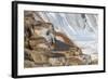 Travertine Limestone Terraces in Yellowstone National Park, Wyoming, USA-Mark Taylor-Framed Photographic Print