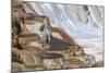 Travertine Limestone Terraces in Yellowstone National Park, Wyoming, USA-Mark Taylor-Mounted Photographic Print