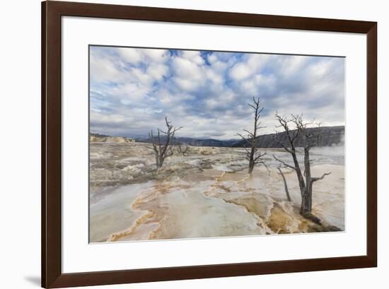 Travertine mineral terraces, Mammoth Hot Springs, Yellowstone National Park.-WILLIAM-Framed Photographic Print