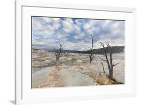 Travertine mineral terraces, Mammoth Hot Springs, Yellowstone National Park.-WILLIAM-Framed Photographic Print