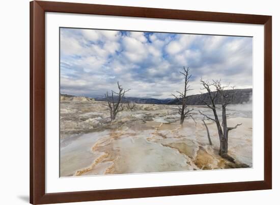 Travertine mineral terraces, Mammoth Hot Springs, Yellowstone National Park.-WILLIAM-Framed Photographic Print