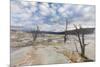 Travertine mineral terraces, Mammoth Hot Springs, Yellowstone National Park.-WILLIAM-Mounted Photographic Print