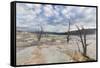 Travertine mineral terraces, Mammoth Hot Springs, Yellowstone National Park.-WILLIAM-Framed Stretched Canvas