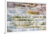 Travertine terraces at Minerva Spring, Mammoth Hot Springs, Yellowstone National Park, Wyoming, USA-Russ Bishop-Framed Photographic Print