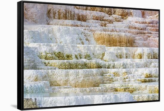 Travertine terraces at Minerva Spring, Mammoth Hot Springs, Yellowstone National Park, Wyoming, USA-Russ Bishop-Framed Stretched Canvas