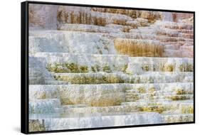 Travertine terraces at Minerva Spring, Mammoth Hot Springs, Yellowstone National Park, Wyoming, USA-Russ Bishop-Framed Stretched Canvas