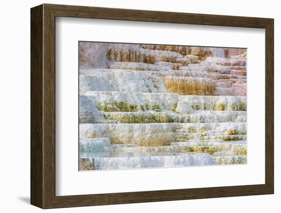 Travertine terraces at Minerva Spring, Mammoth Hot Springs, Yellowstone National Park, Wyoming, USA-Russ Bishop-Framed Photographic Print
