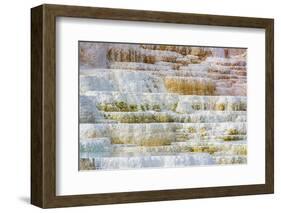 Travertine terraces at Minerva Spring, Mammoth Hot Springs, Yellowstone National Park, Wyoming, USA-Russ Bishop-Framed Photographic Print