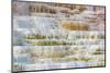 Travertine terraces at Minerva Spring, Mammoth Hot Springs, Yellowstone National Park, Wyoming, USA-Russ Bishop-Mounted Photographic Print