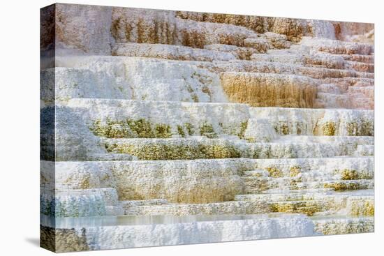 Travertine terraces at Minerva Spring, Mammoth Hot Springs, Yellowstone National Park, Wyoming, USA-Russ Bishop-Stretched Canvas