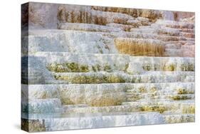 Travertine terraces at Minerva Spring, Mammoth Hot Springs, Yellowstone National Park, Wyoming, USA-Russ Bishop-Stretched Canvas