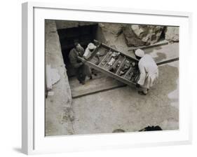 Tray of Chariot Parts Being Removed from the Tomb of Tutankhamun, Valley of the Kings, 1922-Harry Burton-Framed Photographic Print