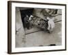 Tray of Chariot Parts Being Removed from the Tomb of Tutankhamun, Valley of the Kings, 1922-Harry Burton-Framed Photographic Print