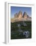 Tre Cime di Lavaredo, Sexten Dolomites nature reserve, Italy-Michael Jaeschke-Framed Photographic Print