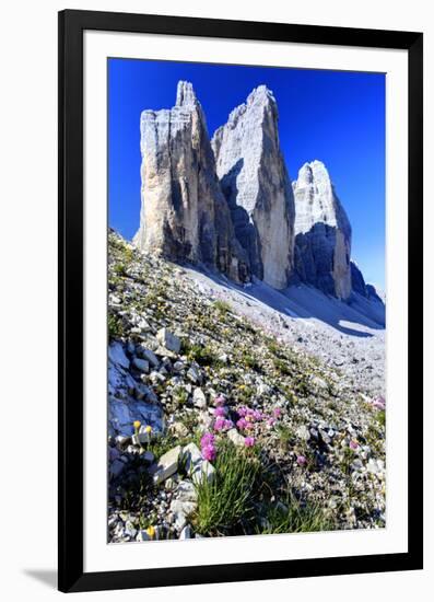 Tre Cime di Lavaredo, Sexten Dolomites, Province of Bolzano, South Tyrol, Italy-null-Framed Premium Giclee Print