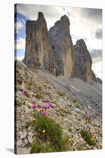 Tre Cime di Lavaredo, Sexten Dolomites, Province of Bolzano, South Tyrol, Italy-null-Stretched Canvas