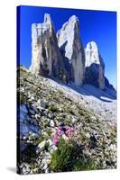 Tre Cime di Lavaredo, Sexten Dolomites, Province of Bolzano, South Tyrol, Italy-null-Stretched Canvas