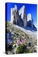 Tre Cime di Lavaredo, Sexten Dolomites, Province of Bolzano, South Tyrol, Italy-null-Stretched Canvas